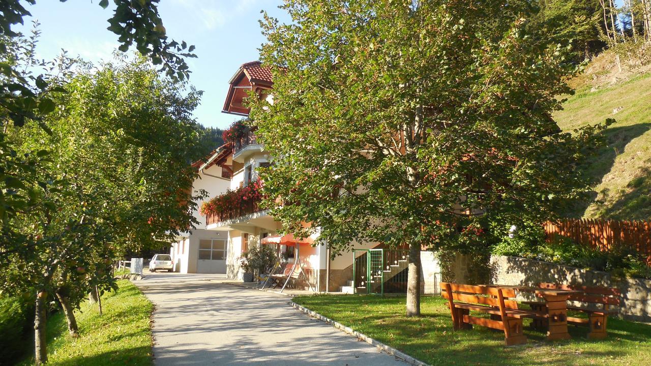 Apartments Savinja Luce Ngoại thất bức ảnh